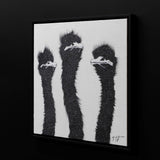 Three Sparkling White Ostrich