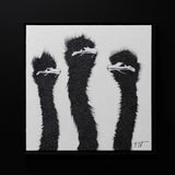 Three Sparkling White Ostrich