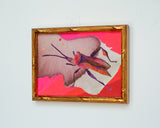 Pink Stink Bug