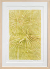 Palmetto