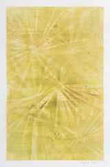 Palmetto
