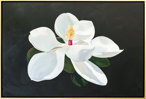 Magnolia Study 4