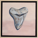 Megalodon Study 1