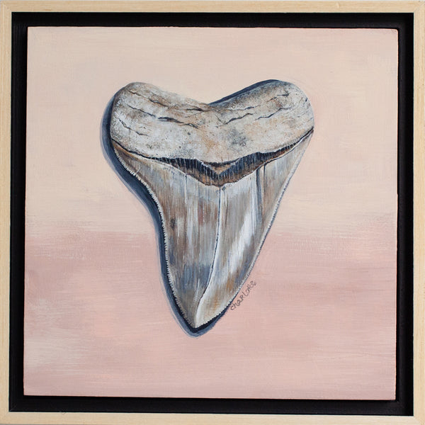 Megalodon Study 1