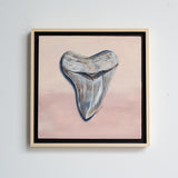 Megalodon Study 1