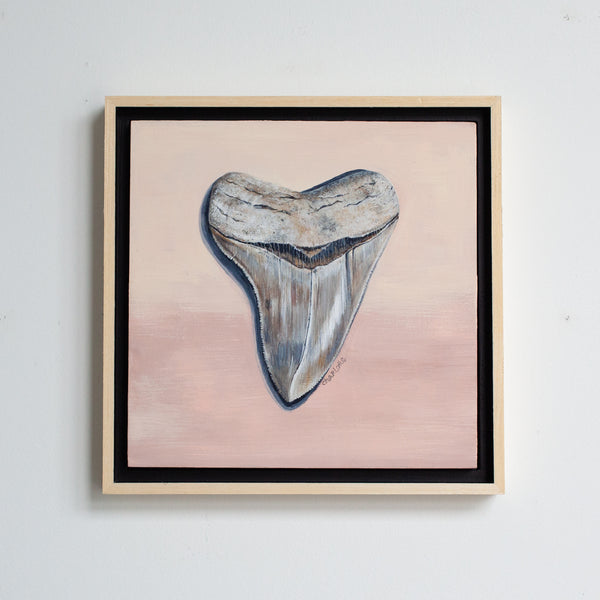 Megalodon Study 1