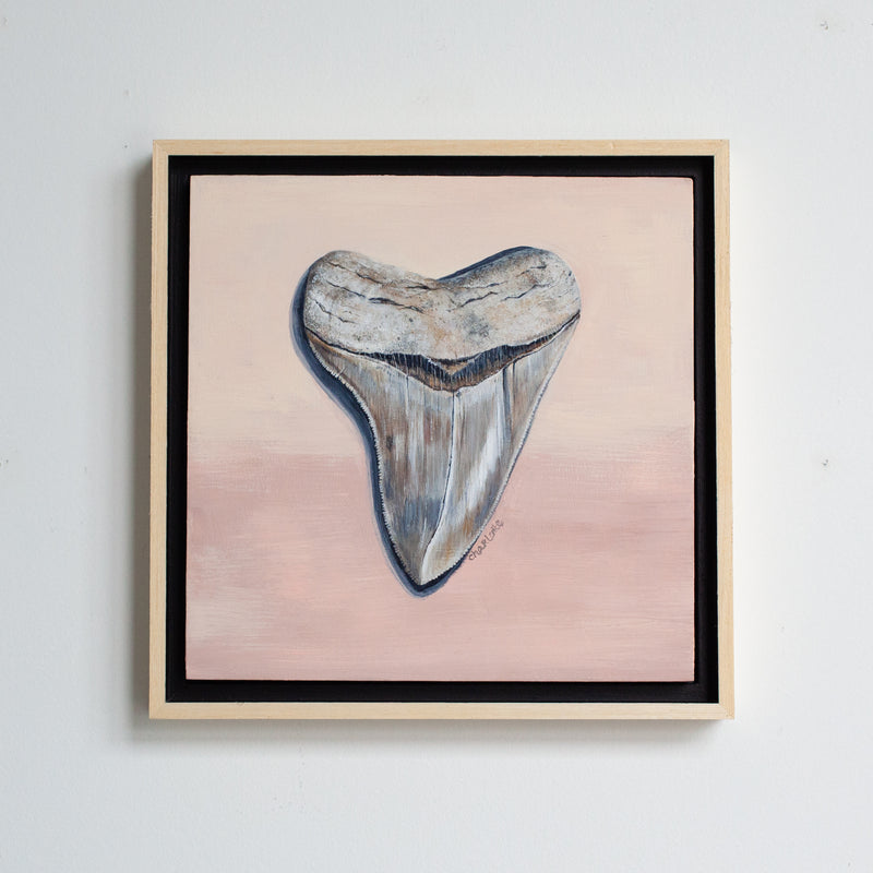 Megalodon Study 1