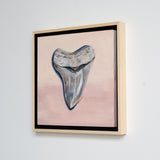 Megalodon Study 1