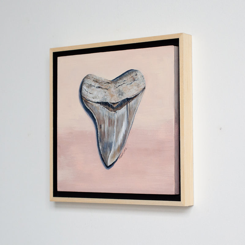 Megalodon Study 1