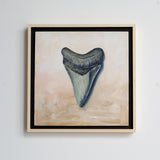 Megalodon Study 2
