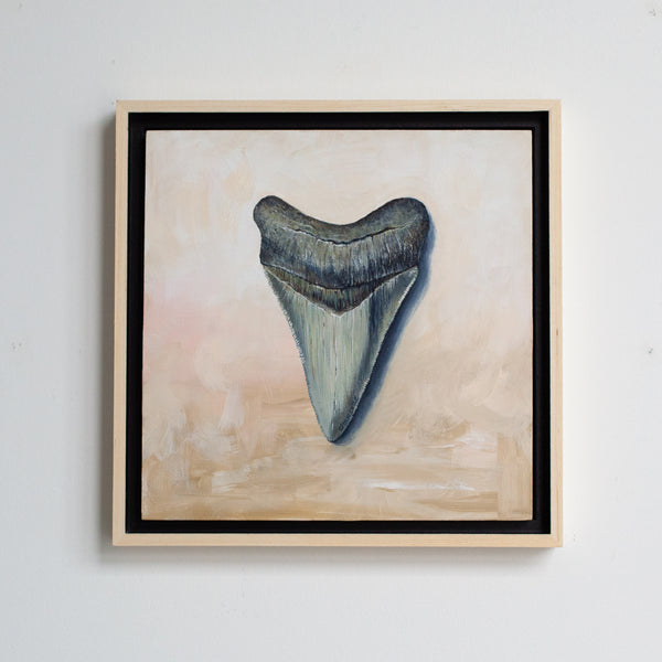 Megalodon Study 2