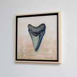Megalodon Study 2