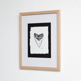 Megalodon Tooth