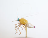 Mosquito Jewel Bug