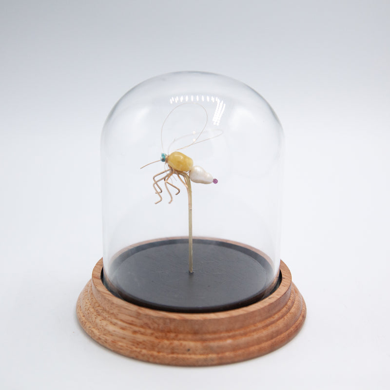 Mosquito Jewel Bug