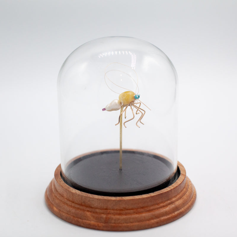 Mosquito Jewel Bug