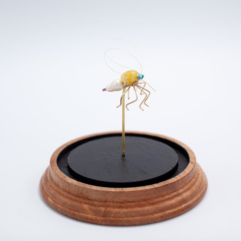 Mosquito Jewel Bug