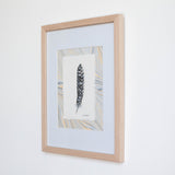 Neutral Turkey Feather