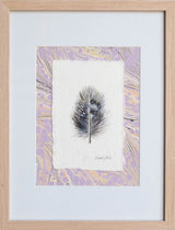 Pheasant Feather