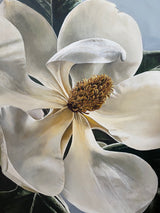 Magnolia Study 3