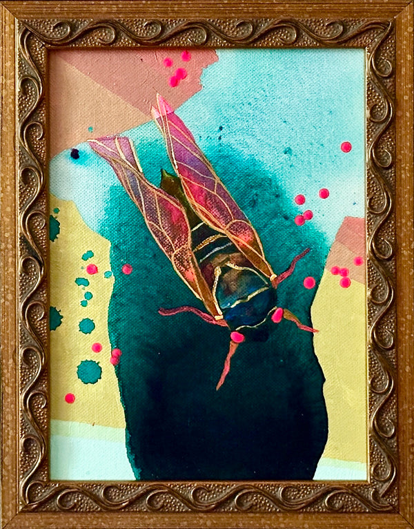 Pink Cicada
