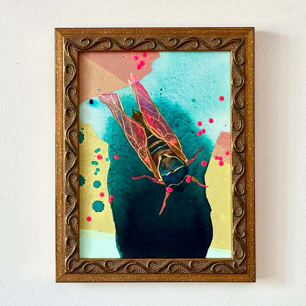 Pink Cicada