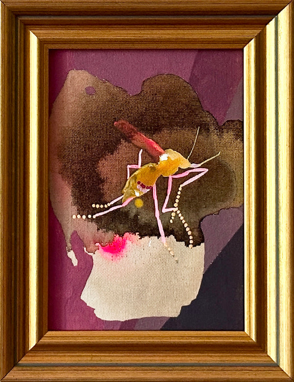 Pink Mosquito