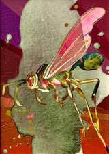 Pink Wasp