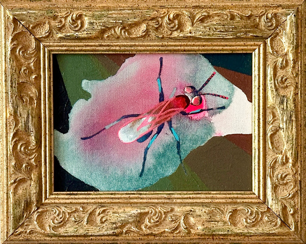 Pink Wasp