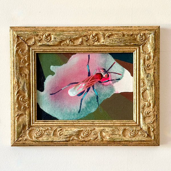 Pink Wasp