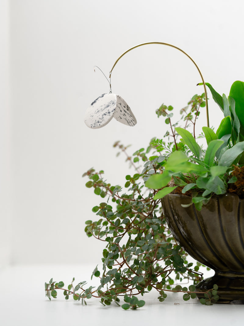 Tiny Plant Butterfly