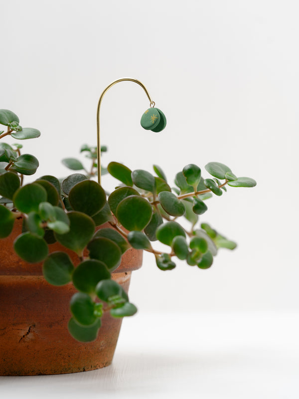Tiny Plant Butterfly