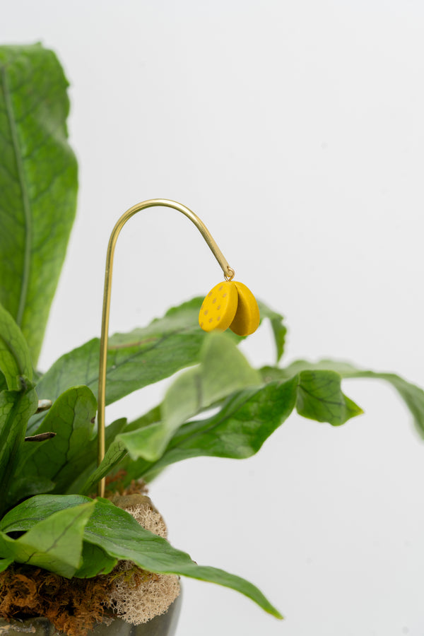 Tiny Plant Butterfly