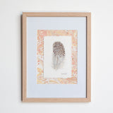 Speckled Duck Feather