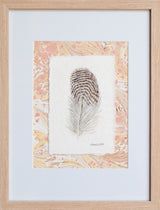 Speckled Duck Feather