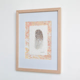 Speckled Duck Feather
