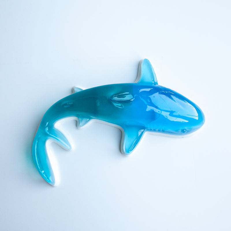 Gummy Shark in Light Teal