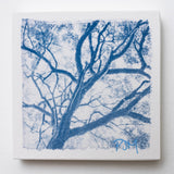 Tangle