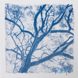 Tangle