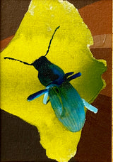 Teal Beetle