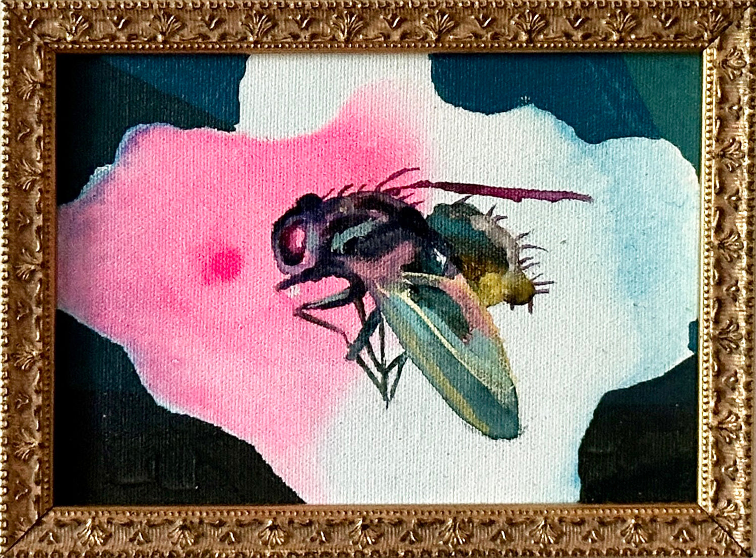 Teal Fly by Kate Hooray Osmond – The Miller Gallery