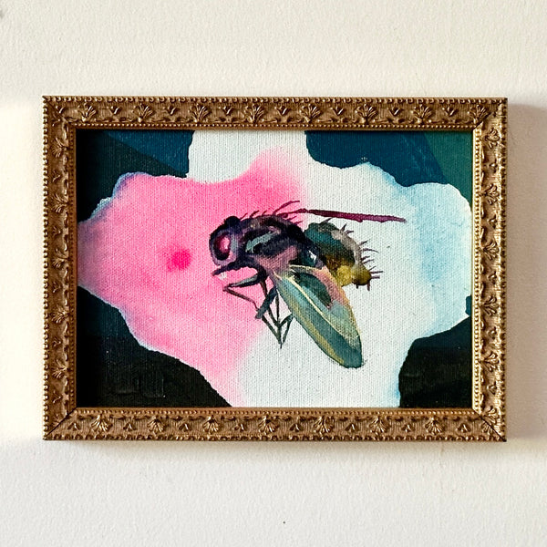 Teal Fly
