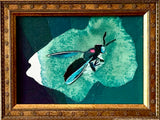 Teal Soldier Fly