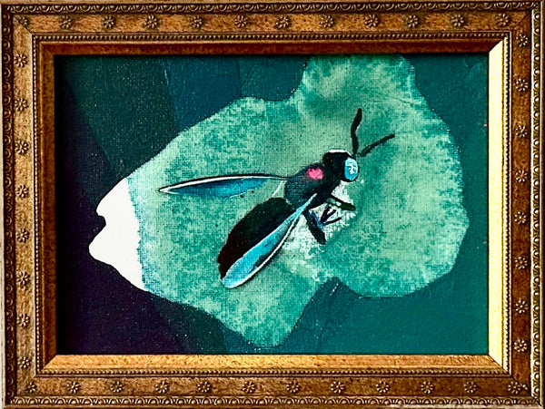 Teal Soldier Fly