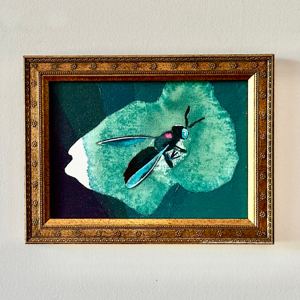 Teal Soldier Fly