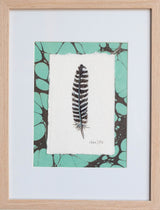 Turquoise Turkey Feather