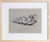 Wentletrap Shell in Charcoal