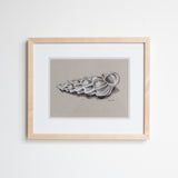 Wentletrap Shell in Charcoal