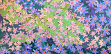 Where The Wild Things Bloom