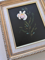 Wild and Precious No.54